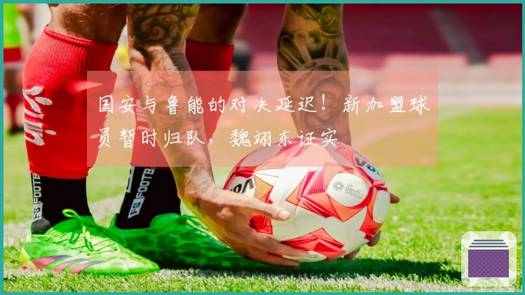 国安与鲁能的对决延迟！新加盟球员暂时归队，魏翊东证实